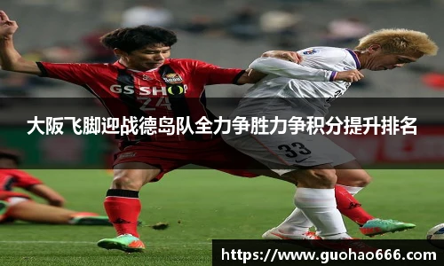 大阪飞脚迎战德岛队全力争胜力争积分提升排名